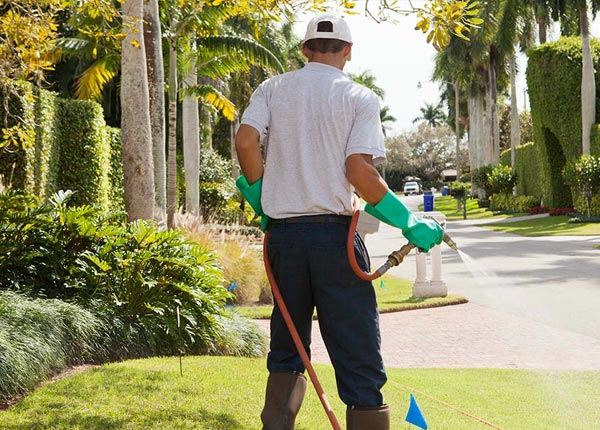 About Wanakena NY Pest Control